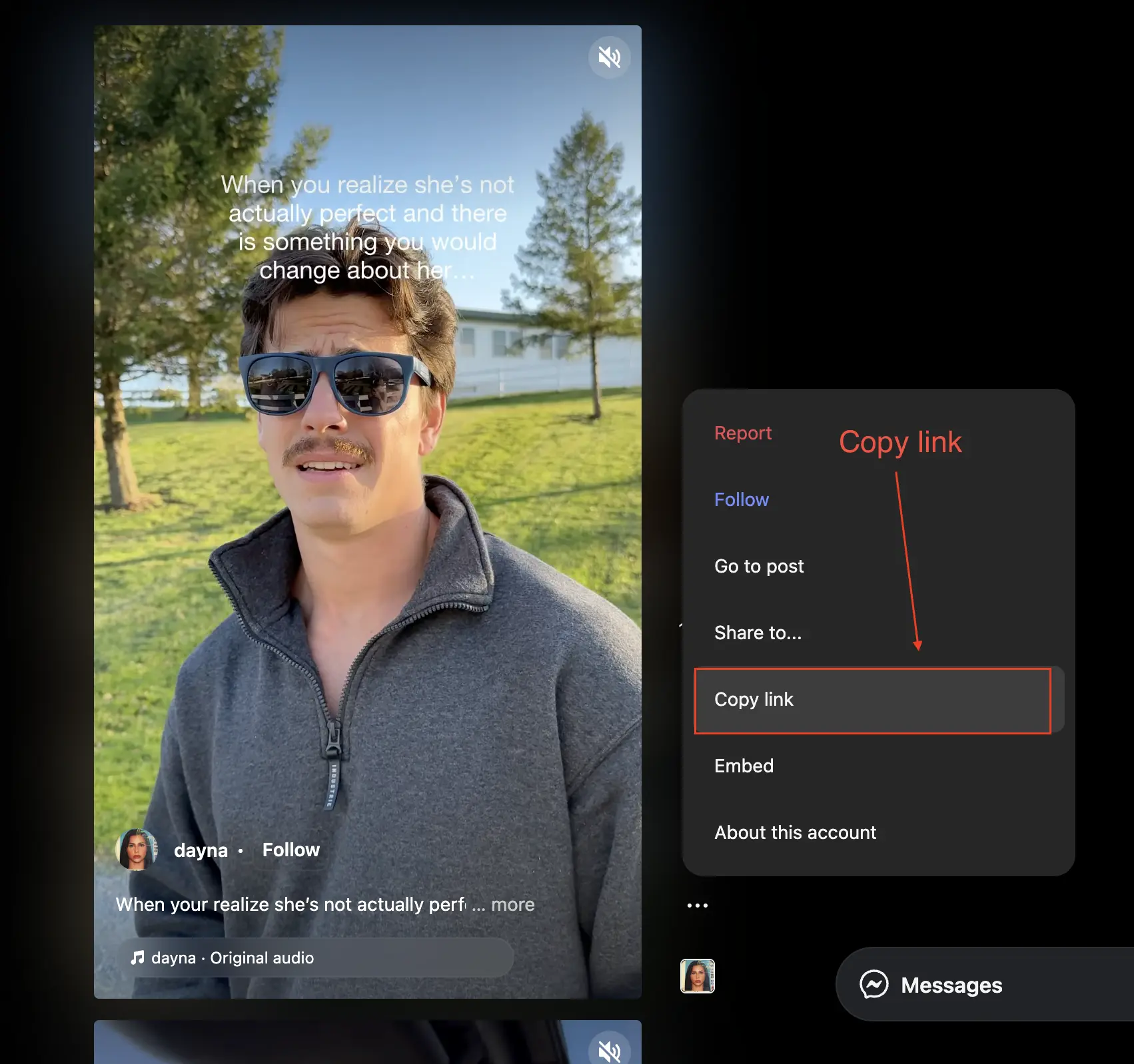 How to copy Instagram reel link - Step by step guide showing Instagram interface