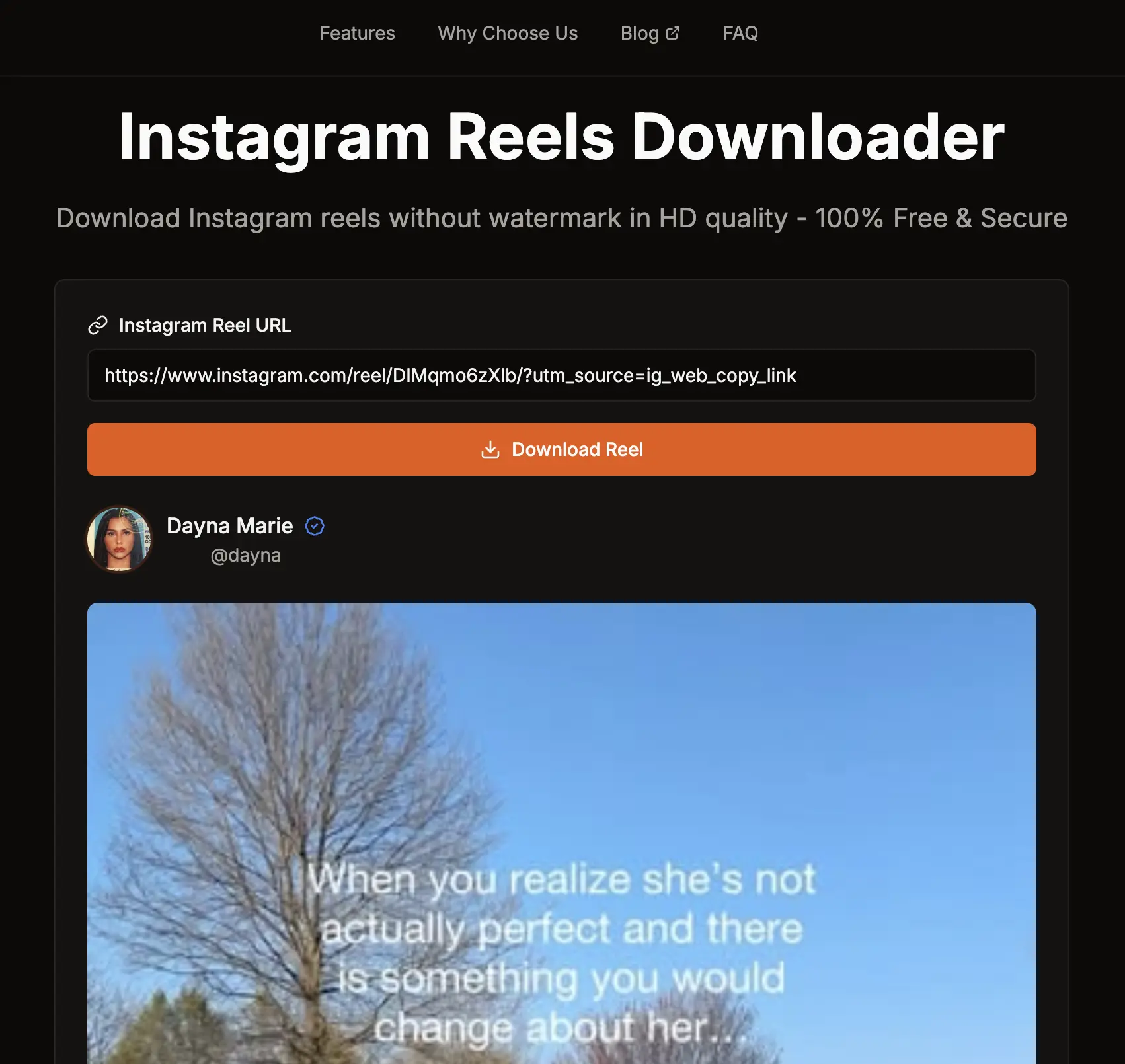 Where to paste Instagram reel link in the downloader tool